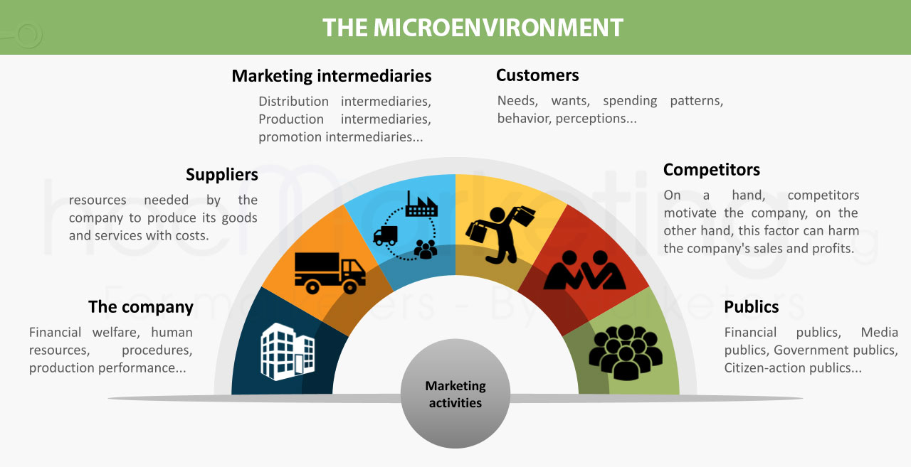 What Is Microenvironment Actors And Examples