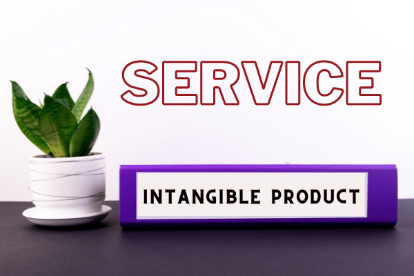 Intangibility - The nature and characteristics of a service