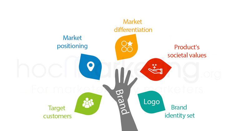 Elements associated with the brand