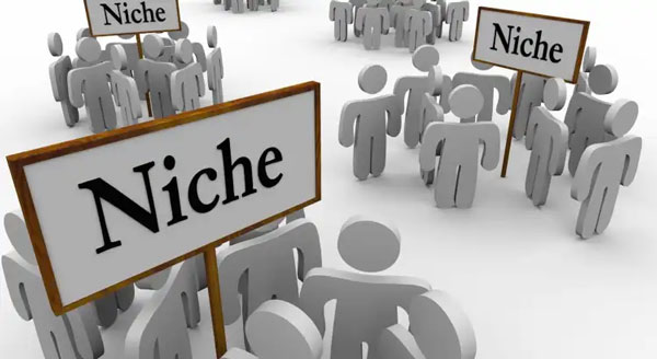 What is a market niche?