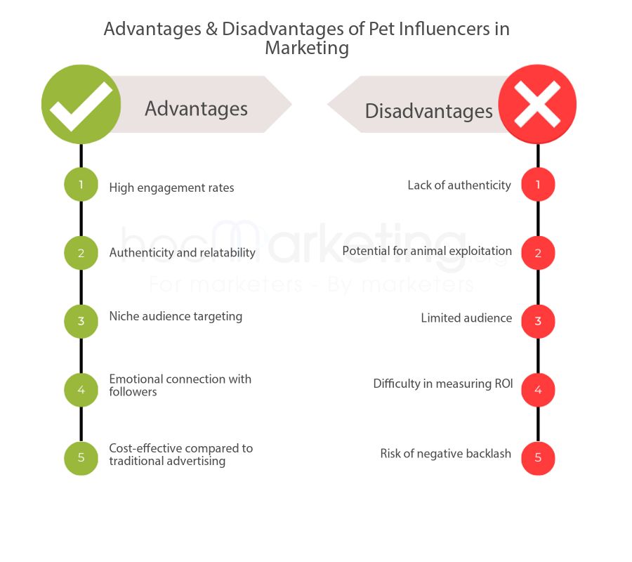 What are Pet Influencers? Comparing Pet Influencers vs Influencers in ...