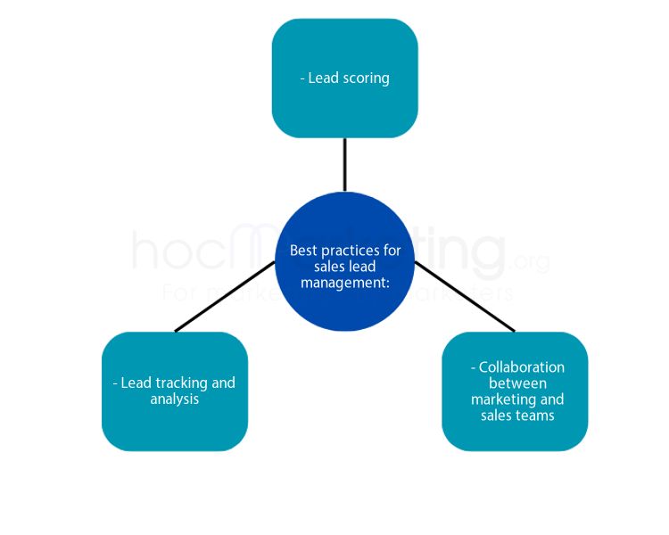 Best practices for sales lead management