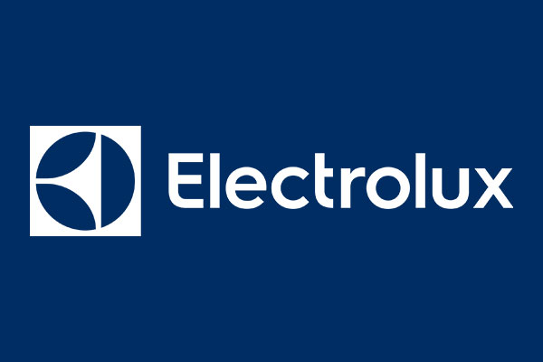 Highlights of Electrolux's Business - Marketing strategy