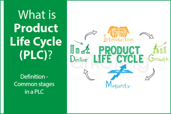 What is Product Life Cycle (PLC)? Common stages in a PLC