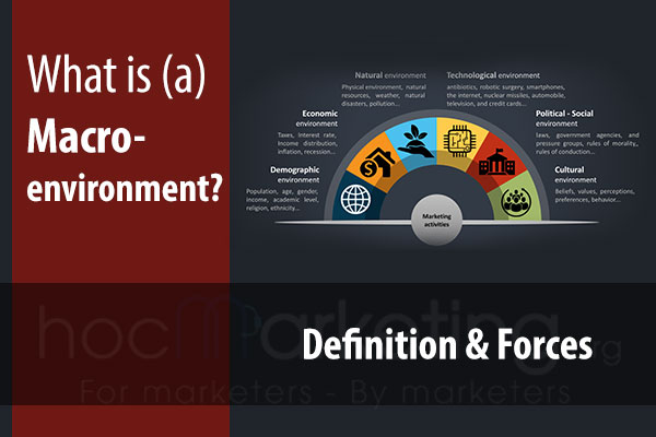 What is Macroenvironment? Forces and Examples