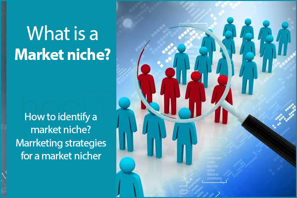 what is market research niche