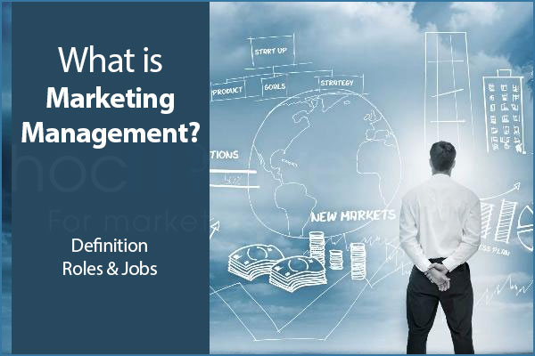 What is Marketing Management? Definition, Roles & Jobs