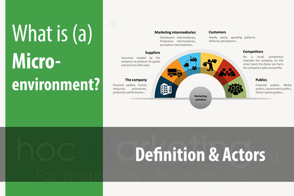 What is Microenvironment? Actors and Examples