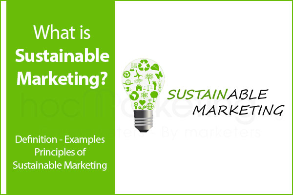 What is Sustainable Marketing? Definition & Principles
