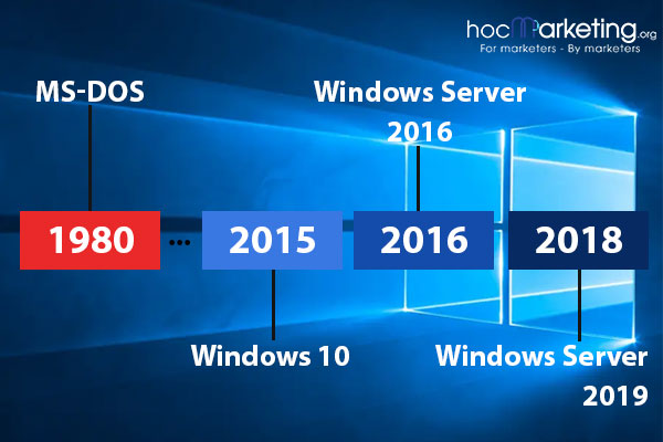 The growth of Microsoft Windows