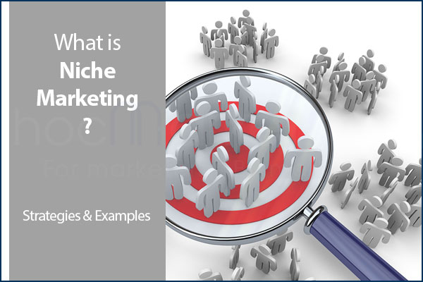 What is niche Marketing? Advantages & Disadvantages of niche marketing