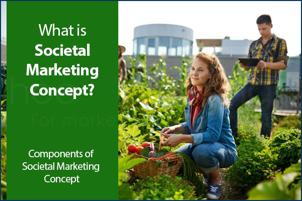 What is Societal Marketing Concept? Components of Societal Marketing Concept
