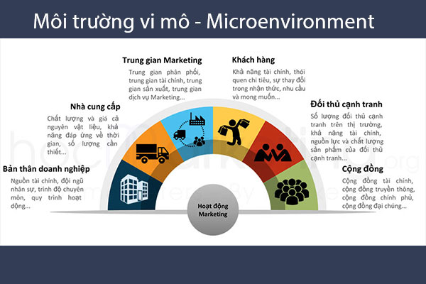 Môi trường vi mô (Microenvironment) là gì? Các nhân tố và Ví dụ