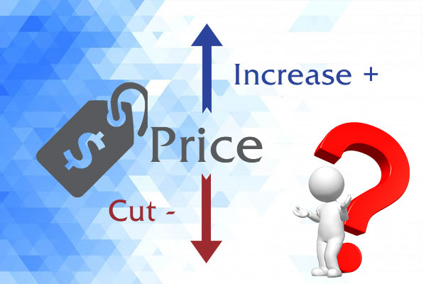 Price Adjustment Strategy In Marketing