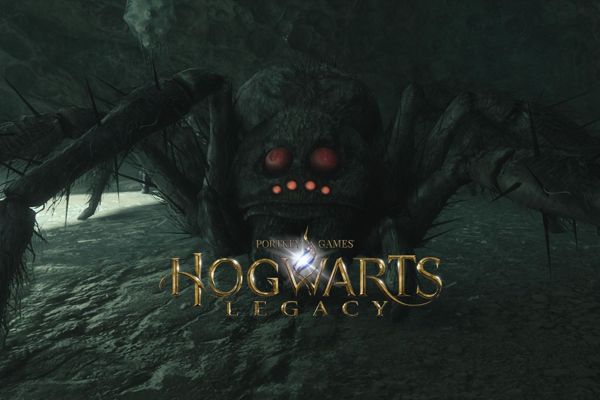 Brave Hogwarts Legacy Player Terrifies Giant Spider