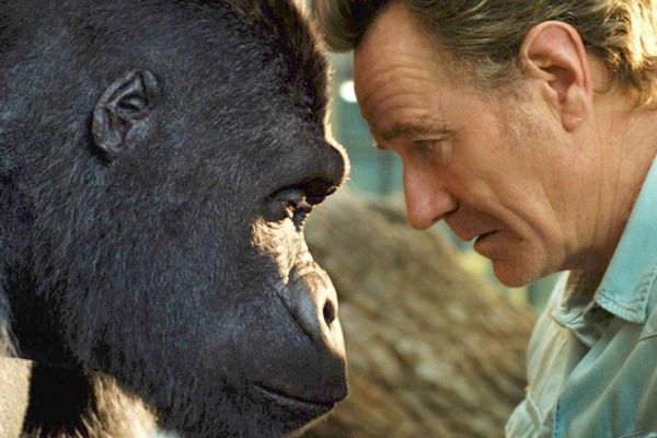 Bryan Cranston's Heartbreaking Reaction to Disney+ Removing The One and Only Ivan