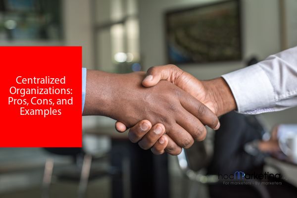 Centralized Organizations: Pros, Cons, and Examples