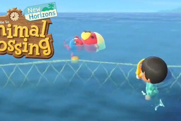 How to Catch a Scallop  Scallop Animal Crossing New Horizons