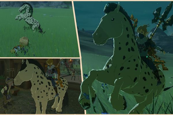 Discover Tears of the Kingdom's Rare Horse: Spot's Location & Rewards
