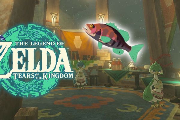 Discover the Secret to Genli's Home Cooking in Zelda: Tears of the Kingdom