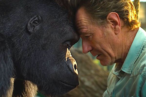 Disney+ Drops 12 Movies: What It Means for Subscribers