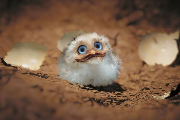 How to Breed Carrier Birds in Lord of the Rings: Gollum