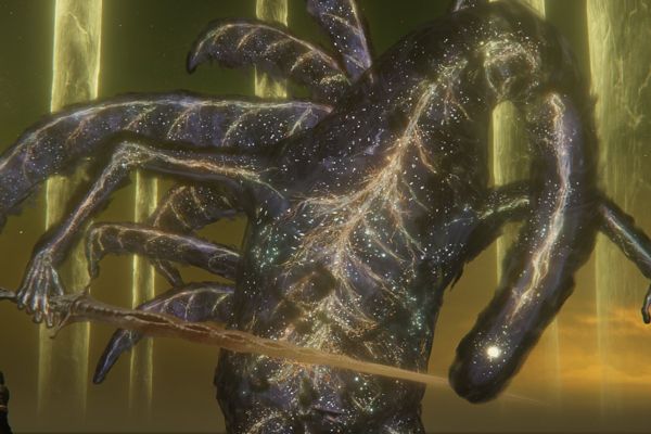 Insane 15-Hour Elden Ring Boss Battle Leaves Player Victorious