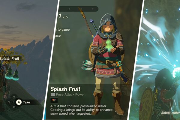 Master the Art of Splash Fruit Acquisition and Utilization