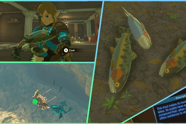 Mastering Voltfin Trout: The Ultimate Guide for Zelda Players