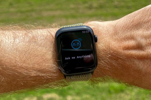 Maximize Your Apple Watch with ChatGPT's Petey