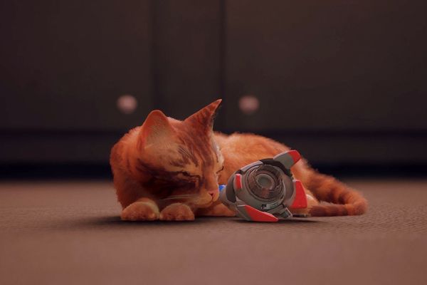 Power Napping for Productivity: Mastering the Art in Stray