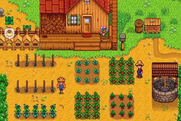 Stardew Valley Player Traps Shadow Brute on Farm