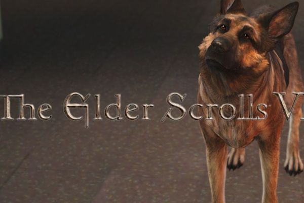 The Elder Scrolls 6: Adopting Fallout's Adorable Mechanic