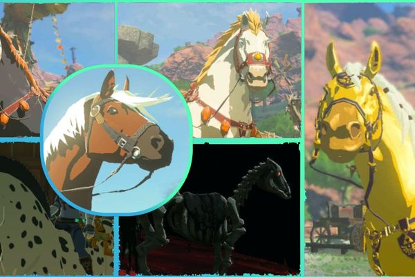 The Ultimate Guide to Finding All Unique Horses in Zelda: Tears of the Kingdom