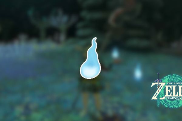 Uncovering the Secrets of Poes and Bargainer Statues in Zelda: Tears of the Kingdom