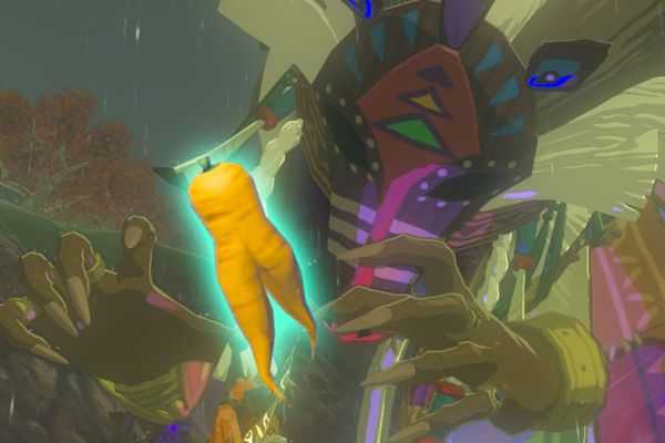 Unearthing Endura Carrots: Quest Rewards & Locations in Zelda