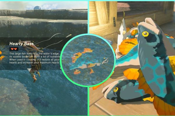 Unleashing the Power of Hearty Bass: Vital Tips for Zelda Players