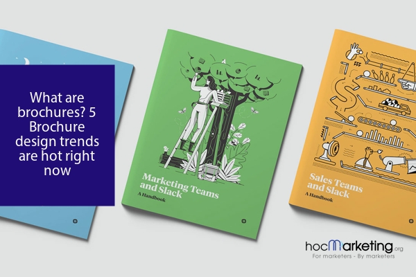 What are brochures? 5 Brochure design trends are hot right now
