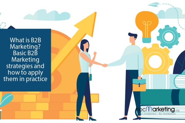 What Is B2B Marketing? Basic B2B Marketing Strategies And How To Apply ...