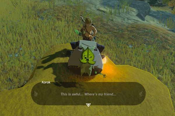 Zelda Player Constructs Insane Korok Torture Device