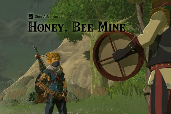 Zelda: Tears of the Kingdom - Sweet Symphony Quest Guide