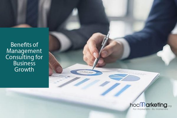 Benefits of Management Consulting for Business Growth