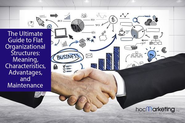 What is Flat Organizational Structures? Meaning, Characteristics, Advantages, and Maintenance