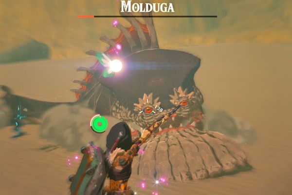 Uncovering the Molduga Location & Defeating it in Zelda: Tears of the Kingdom