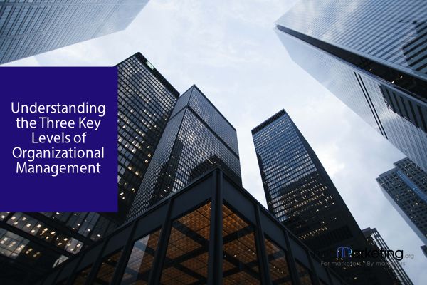 Understanding the Three Key Levels of Organizational Management