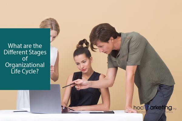 What are the Different Stages of Organizational Life Cycle?