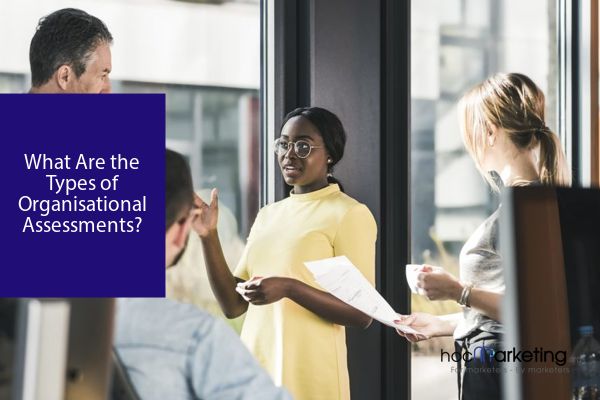 What Are the Types of Organisational Assessments?