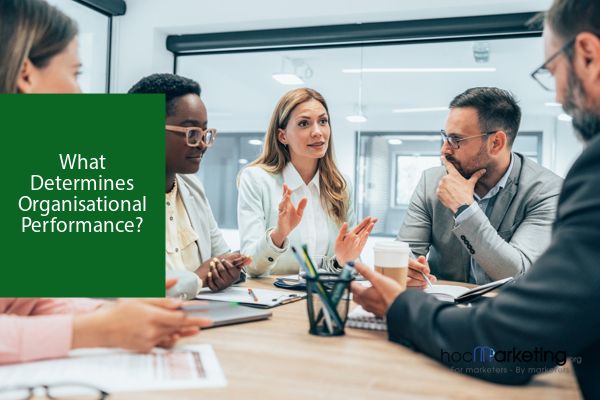 What Determines Organisational Performance?