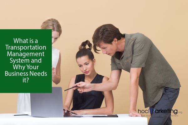 What is a Transportation Management System and Why Your Business Needs it?