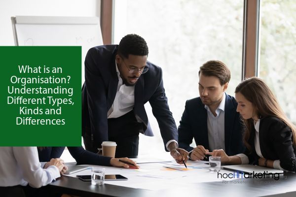 What is an Organisation? Understanding Different Types, Kinds and Differences